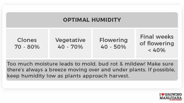 Optimal humidity growing marijuana