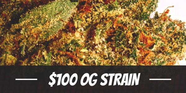 $100 OG Strain