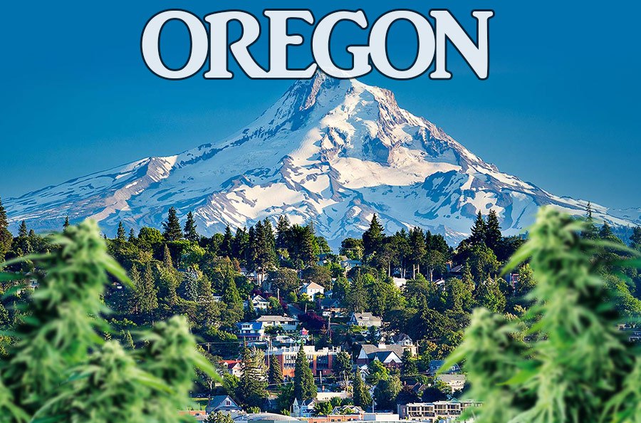 marijuana-laws-in-oregon