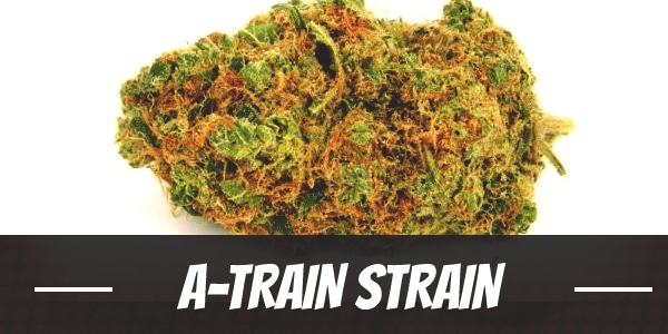 A-Train Strain