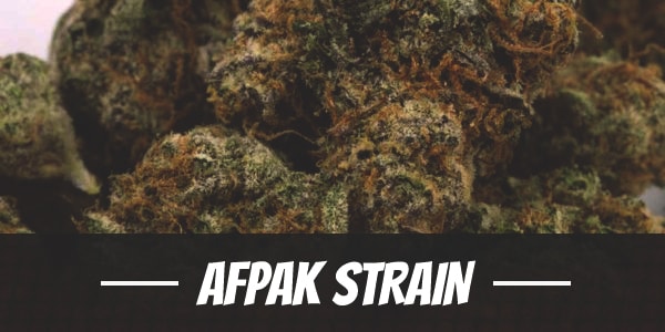 Afpak Strain