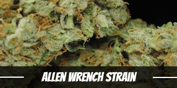 Allen Wrench Strain