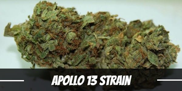 Apollo 13 Strain