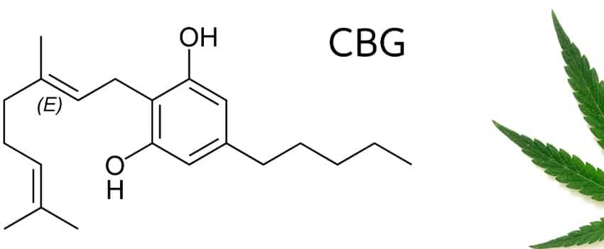 Benefits and Effect of CBG