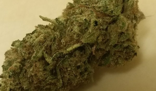 Blue Sky Strain Medical