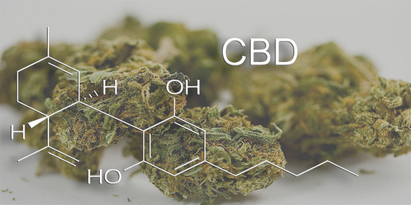 CBD Cannabidiol in medical cannabis