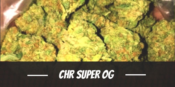 CHR Super OG