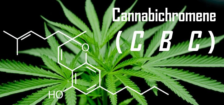 Cannabichromene (CBC)