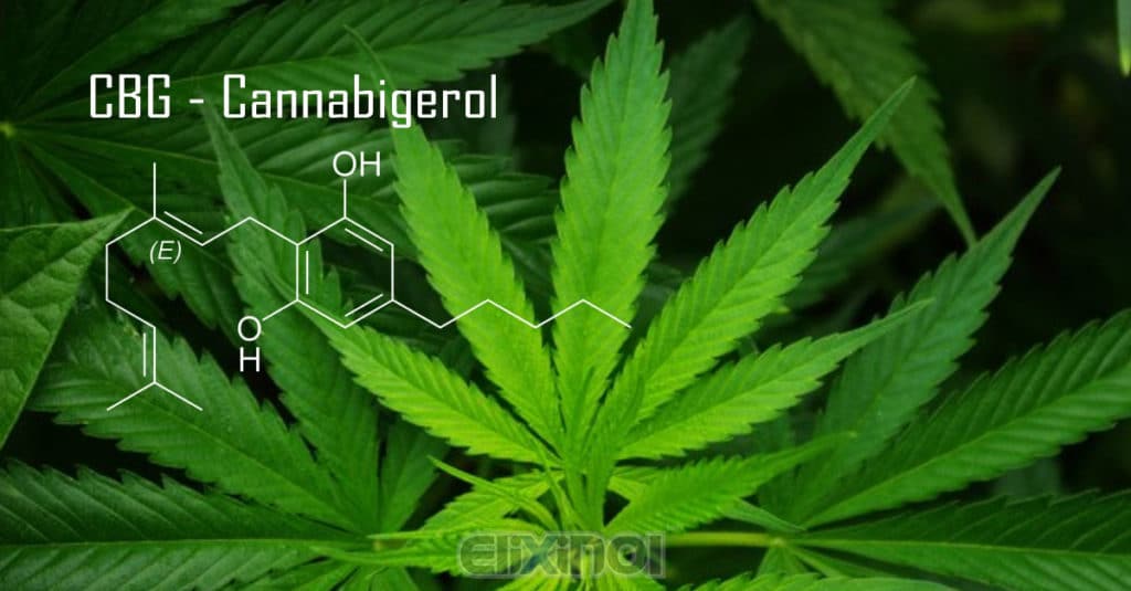 Cannabigerol (CBG)