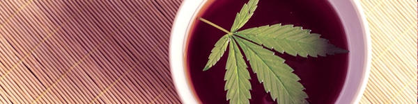 Cannabis Tea Recipe Guide