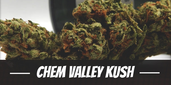 Chem Valley Kush