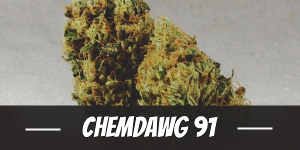 Chemdawg 91