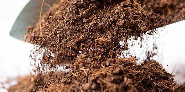 Coco Coir for growing cannabis plants