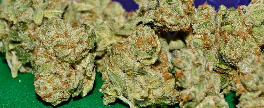 Cold Creek Kush Medical