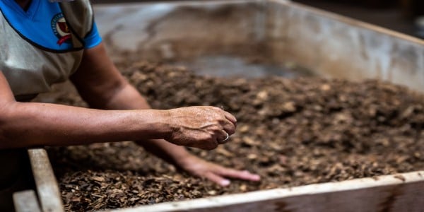 Compost pile shouldn't be too moist