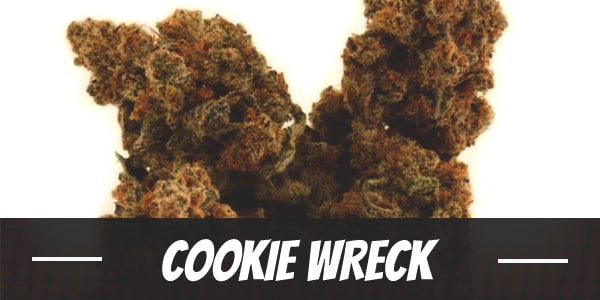 Cookie Wreck