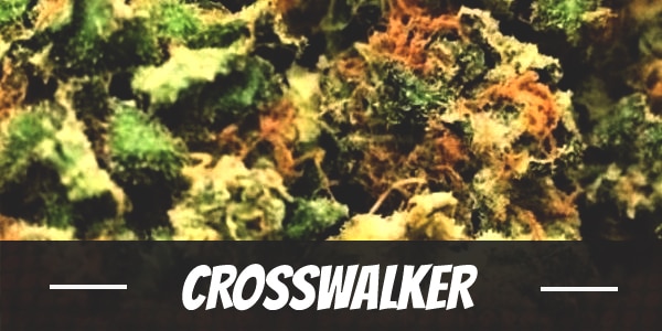 Crosswalker