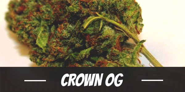 Crown OG