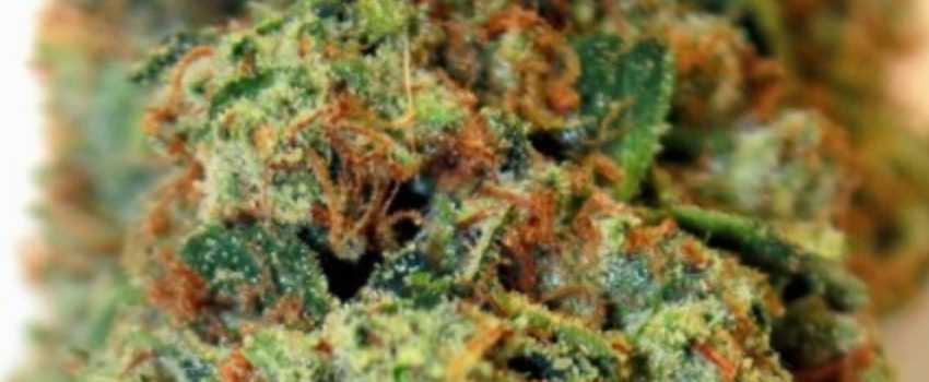 Crown OG Effects