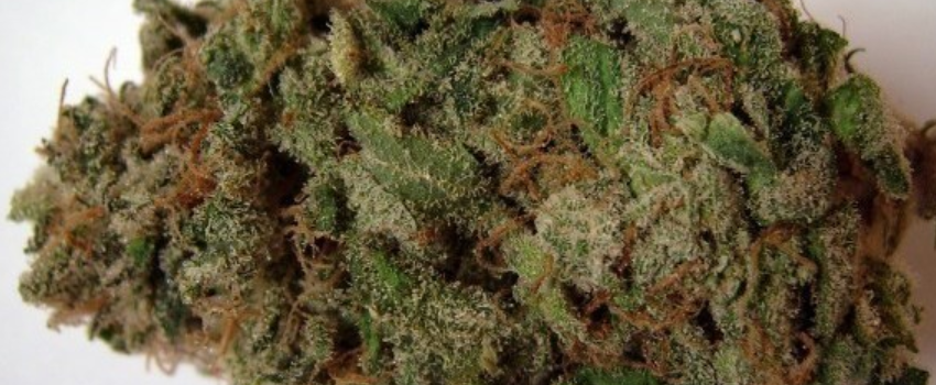 Crystal Coma Medical