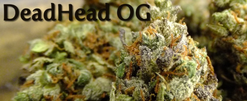 DeadHead_OG