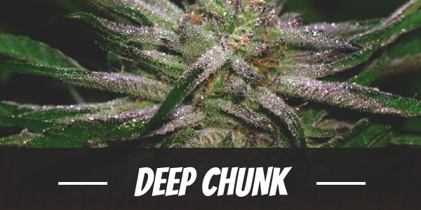 Deep Chunk