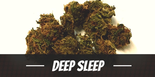 Deep Sleep