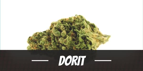 Dorit weed strain review