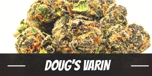 Doug’s Varin