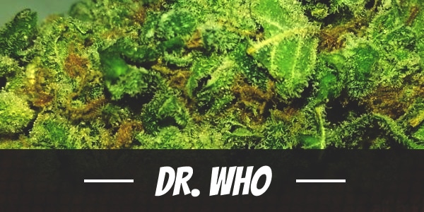 Dr. Who