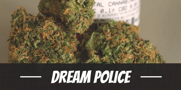 Dream Police