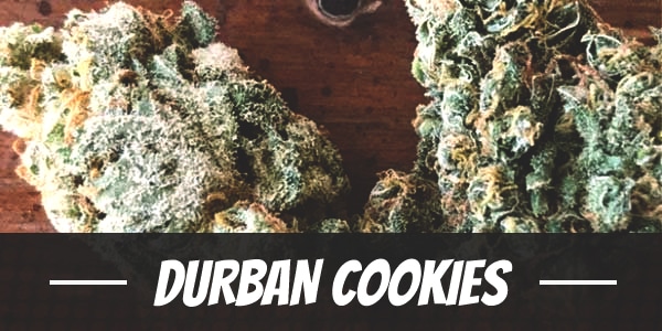 Durban Cookies