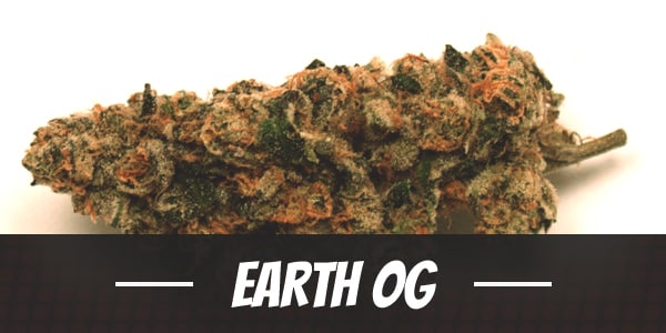 Earth OG