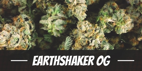 Earthshaker OG