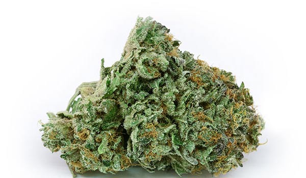 East Coast Sour Diesel Strain Effects