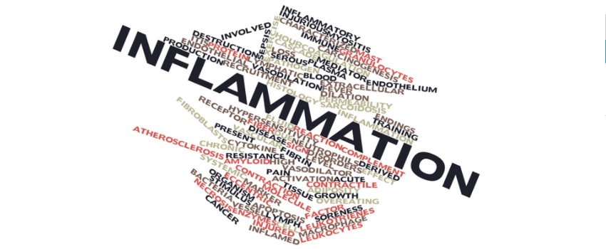 Endocannabinoids Improve Inflammation