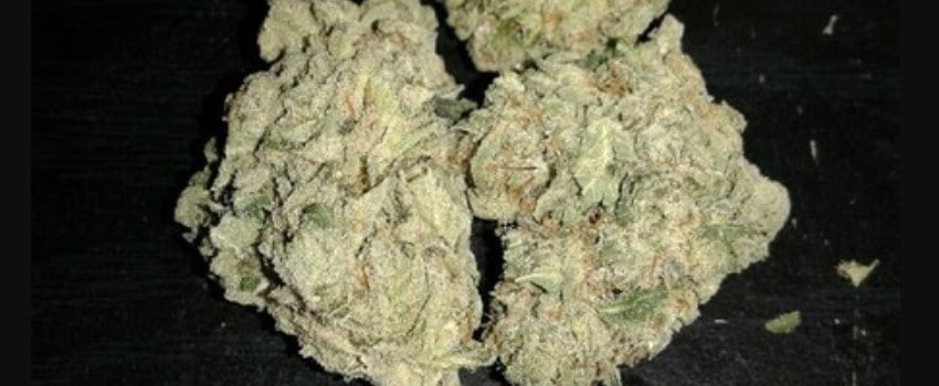 Face Off OG Medical