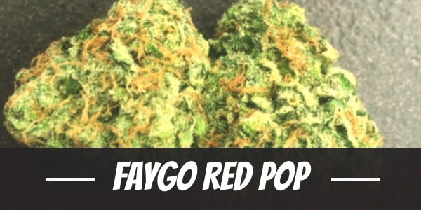 Faygo Red Pop