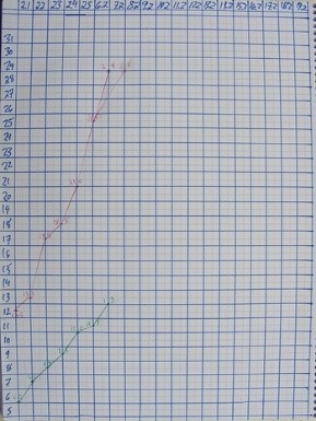 Week 5 Day33 of Using Yoghurt to Grow Cannabis Chart