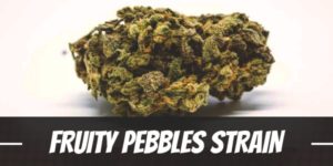 Fruity Pebbles Strain