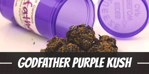 Godfather Purple Kush