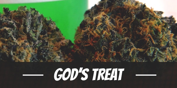 God’s Treat