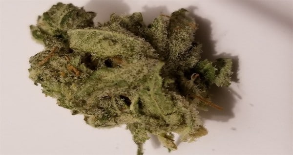 Golden Lemon Strain Adverse Reactions