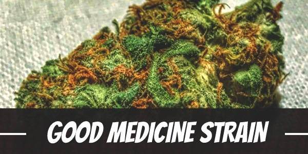 Good Medicine Strain