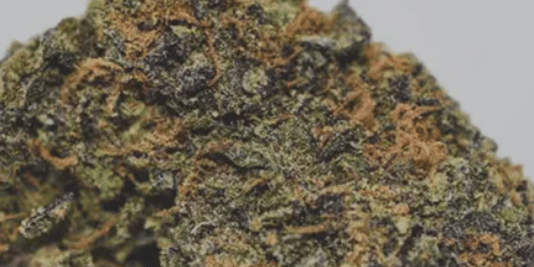 Grape Apen Strain Medical