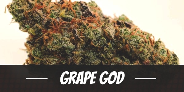 Grape God