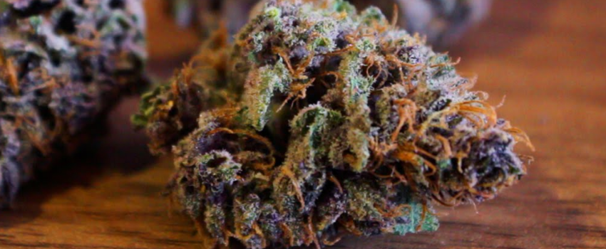 Grape Crush strain Effects