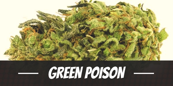 Green Poison