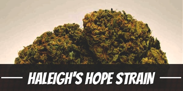 Haleigh’s Hope Strain