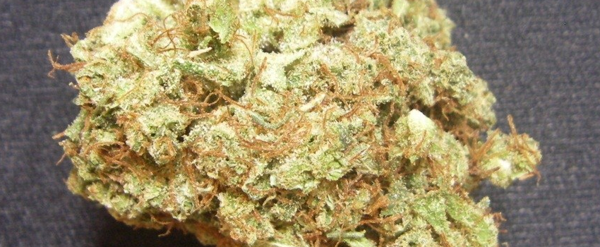 Hashberry Medical